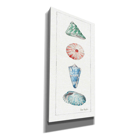 Image of 'Sea Finds III' by Lisa Audit, Canvas Wall Art