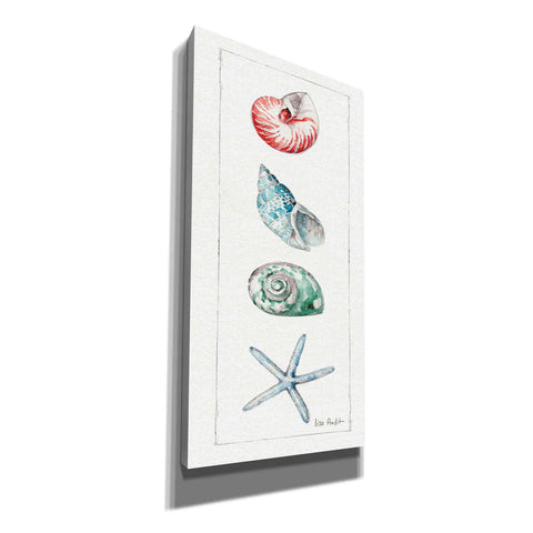 Image of 'Sea Finds IV' by Lisa Audit, Canvas Wall Art
