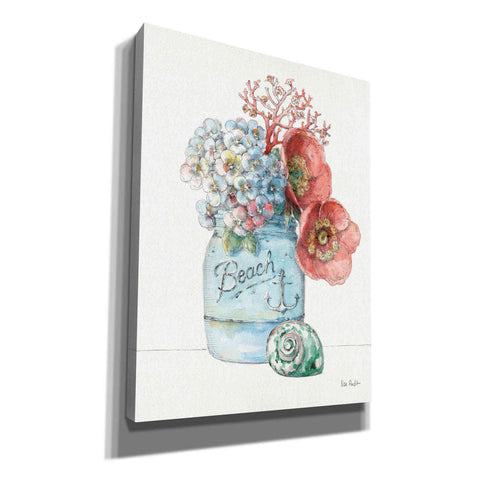 Image of 'Sea Finds I' by Lisa Audit, Canvas Wall Art