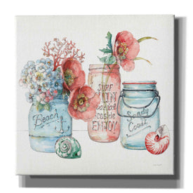 'Sea Finds VII' by Lisa Audit, Canvas Wall Art