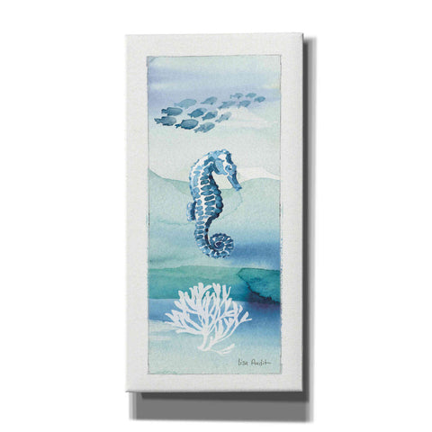 Image of 'Sea Life VII' by Lisa Audit, Canvas Wall Art