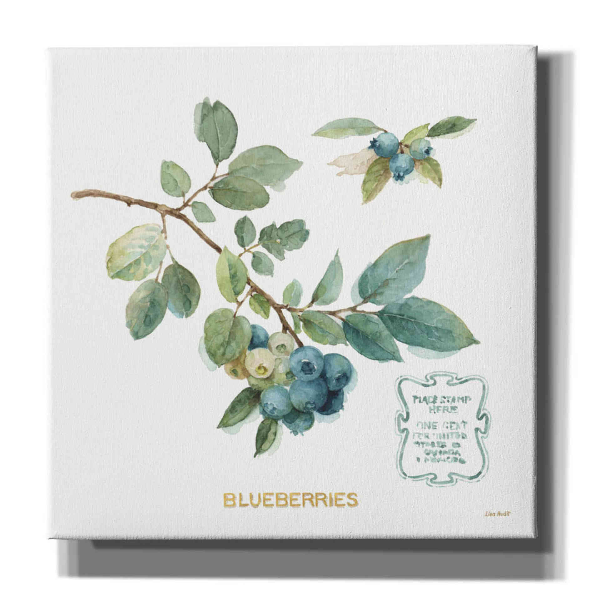 'My Greenhouse Fruit II' by Lisa Audit, Canvas Wall Art