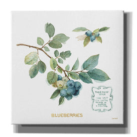 'My Greenhouse Fruit II' by Lisa Audit, Canvas Wall Art