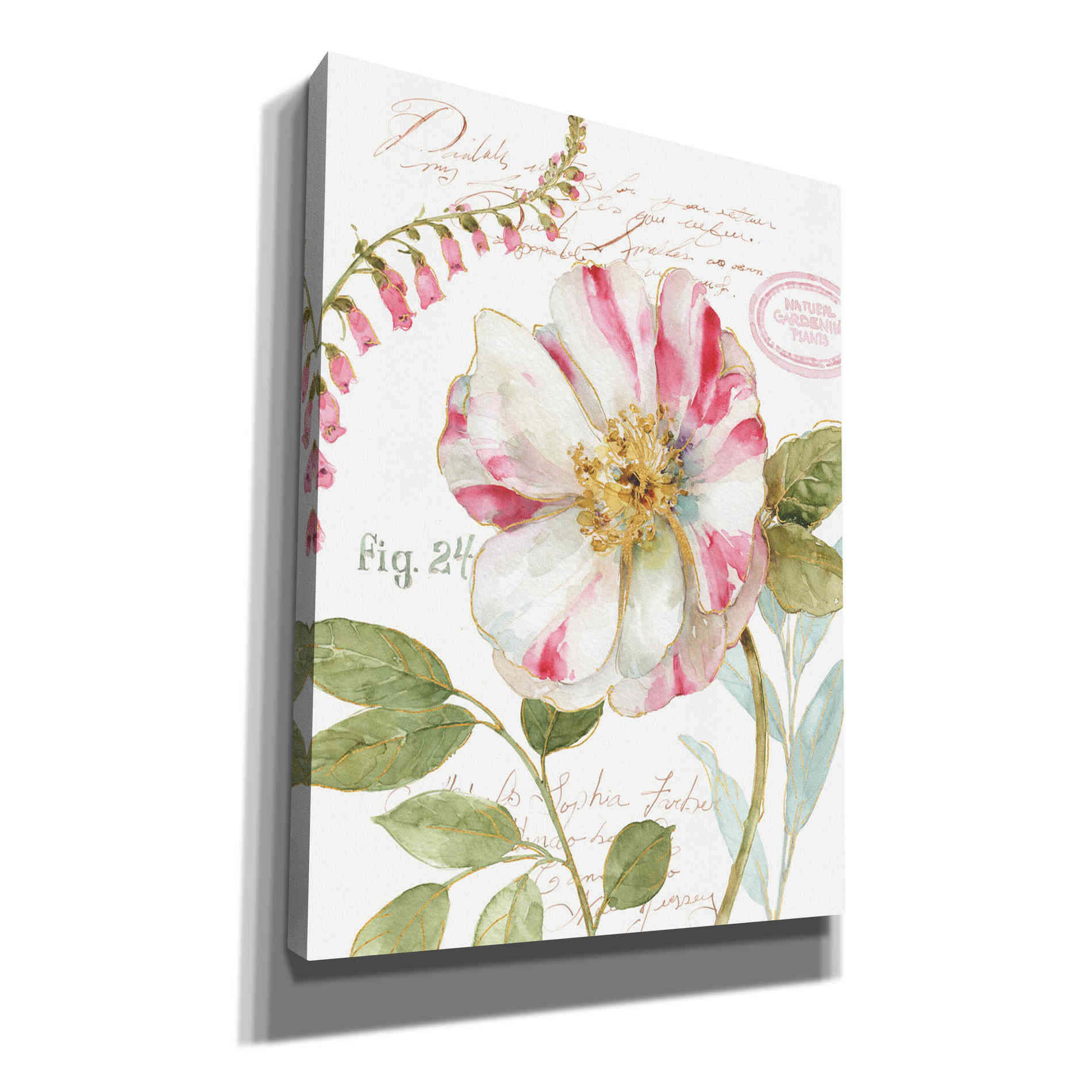 'Rainbow Seeds Botanical II' by Lisa Audit, Canvas Wall Art