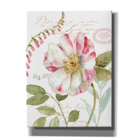 'Rainbow Seeds Botanical II' by Lisa Audit, Canvas Wall Art