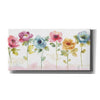 'Rainbow Seeds Loose Floral V' by Lisa Audit, Canvas Wall Art