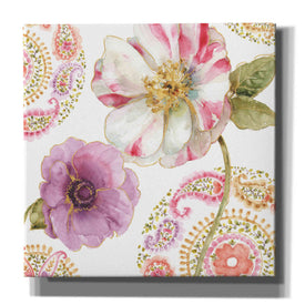 'Rainbow Seeds Paisley I' by Lisa Audit, Canvas Wall Art