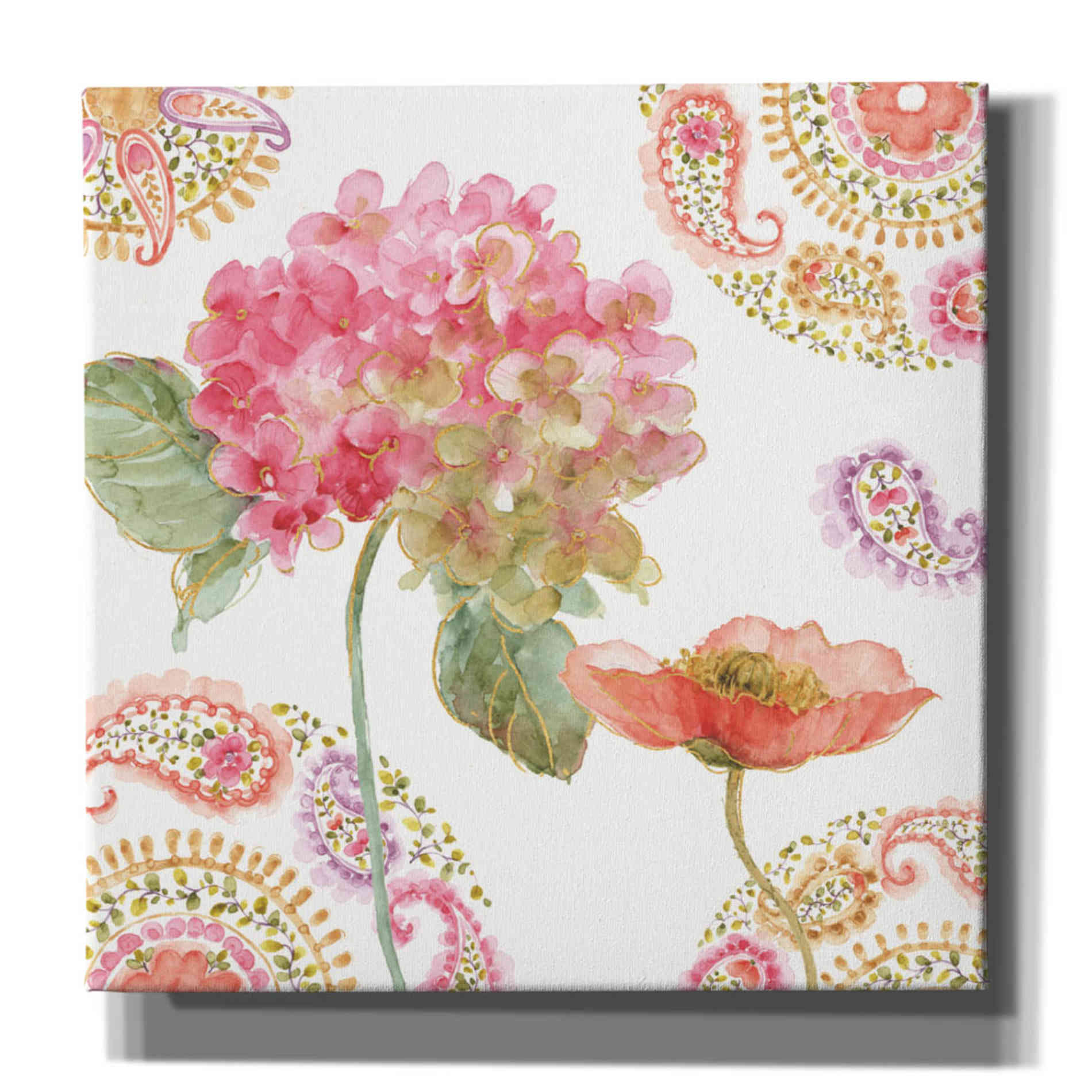 'Rainbow Seeds Paisley II' by Lisa Audit, Canvas Wall Art