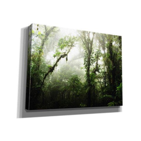 Image of "Clodud Forest" by Nicklas Gustafsson Giclee Canvas Wall Art