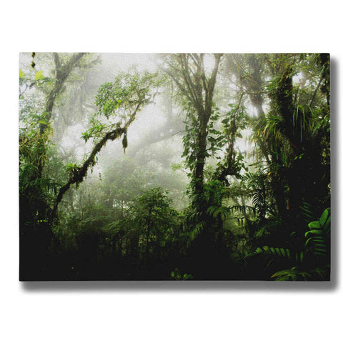 Image of "Clodud Forest" by Nicklas Gustafsson Giclee Canvas Wall Art