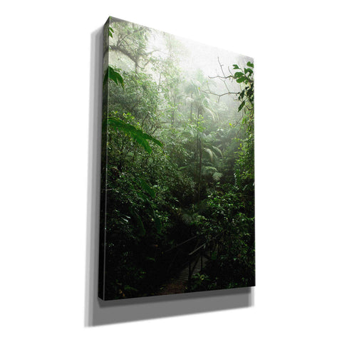 Image of "Into The Cloud Forest" by Nicklas Gustafsson Giclee Canvas Wall Art