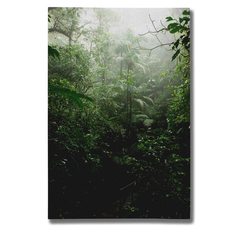 Image of "Into The Cloud Forest" by Nicklas Gustafsson Giclee Canvas Wall Art