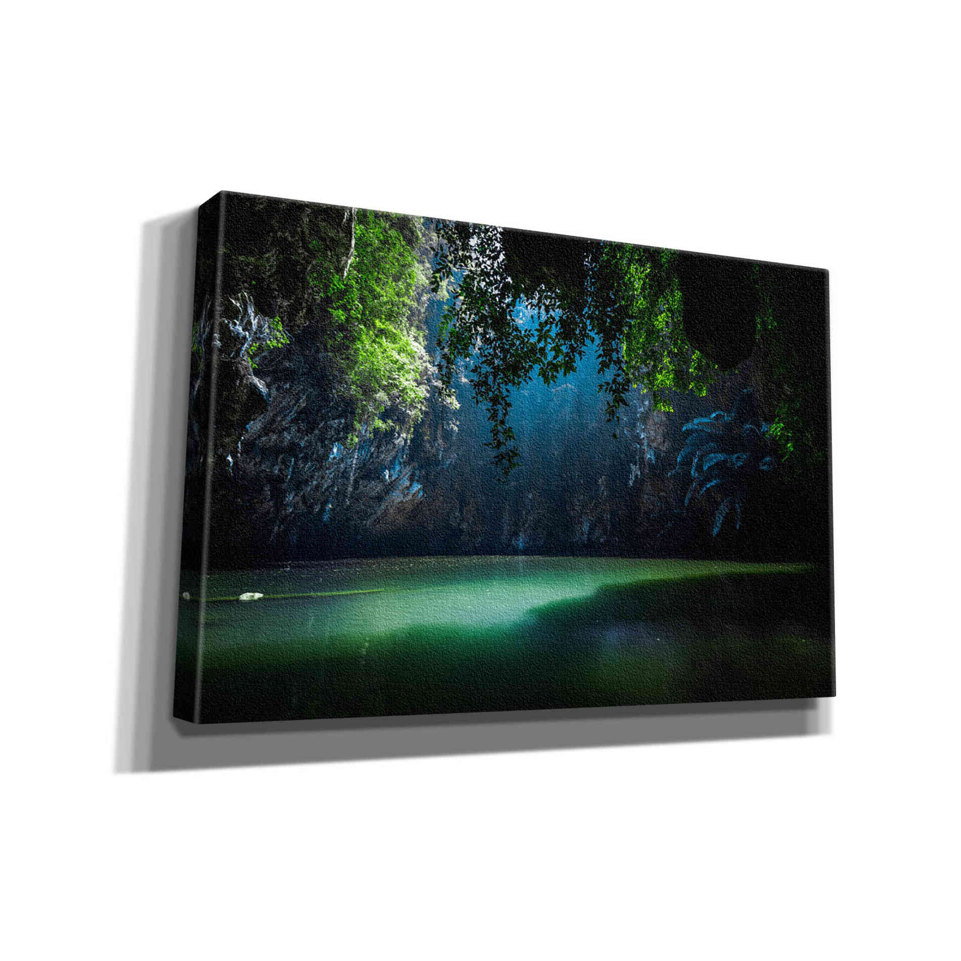 "Lagoon" by Nicklas Gustafsson Giclee Canvas Wall Art