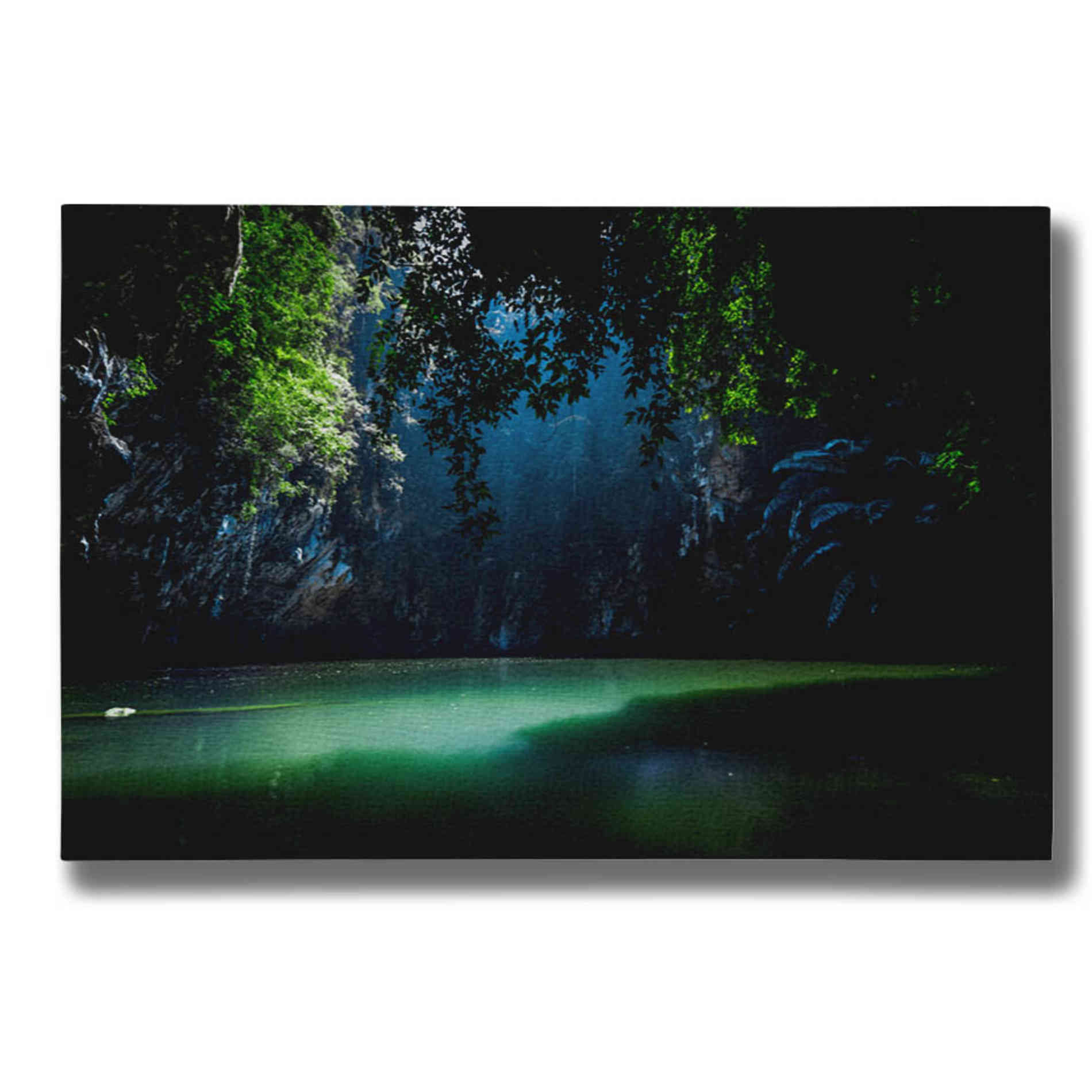 "Lagoon" by Nicklas Gustafsson Giclee Canvas Wall Art