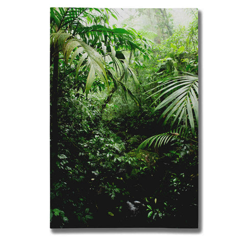 Image of "Misty Rainforest Creek" by Nicklas Gustafsson Giclee Canvas Wall Art