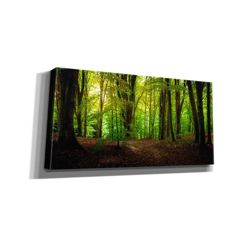 Image of "Summer Forest" by Nicklas Gustafsson Giclee Canvas Wall Art