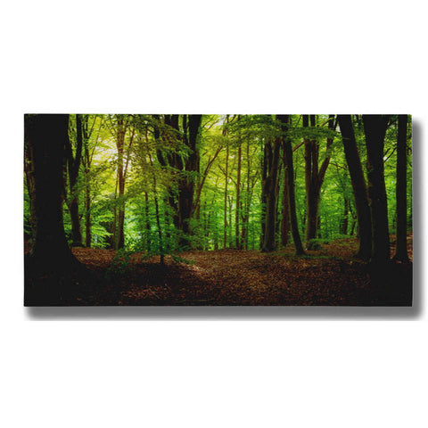 Image of "Summer Forest" by Nicklas Gustafsson Giclee Canvas Wall Art