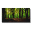 "Summer Forest" by Nicklas Gustafsson Giclee Canvas Wall Art