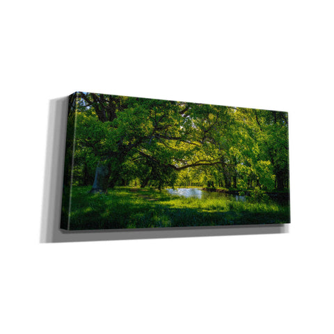 Image of "Summer Morning In The Park" by Nicklas Gustafsson Giclee Canvas Wall Art