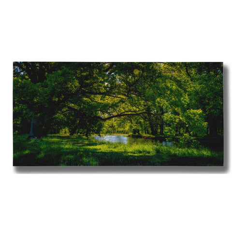 Image of "Summer Morning In The Park" by Nicklas Gustafsson Giclee Canvas Wall Art