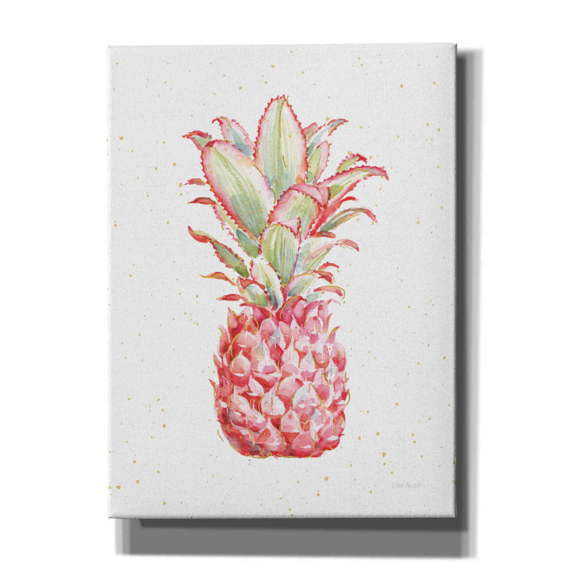 'Gracefully Pink XI' by Lisa Audit, Canvas Wall Art