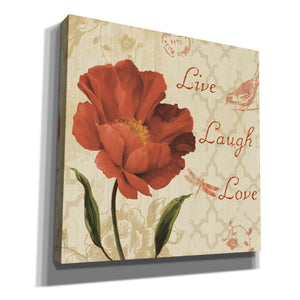 'Live Laugh Love' by Lisa Audit, Canvas Wall Art