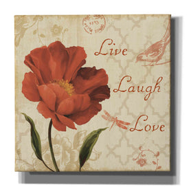 'Live Laugh Love' by Lisa Audit, Canvas Wall Art