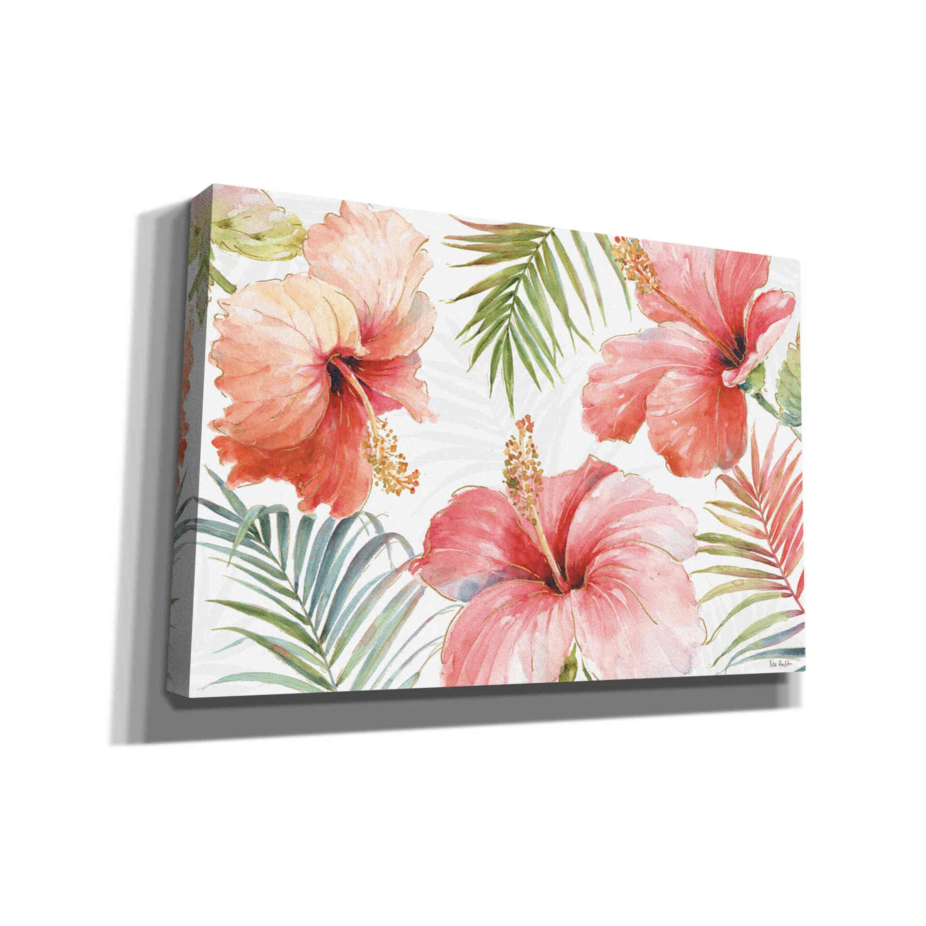 'Tropical Blush I' by Lisa Audit, Canvas Wall Art