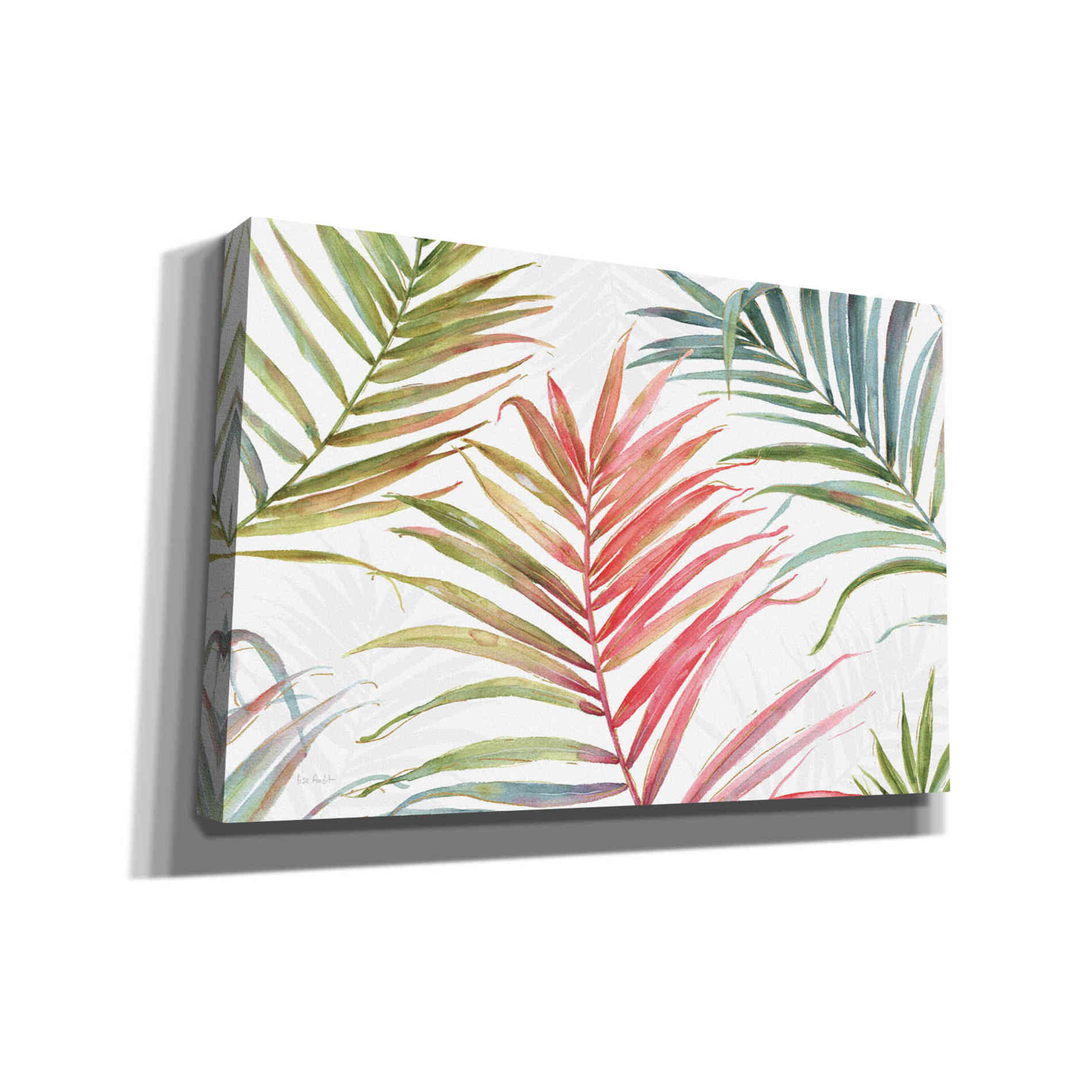 'Tropical Blush IV' by Lisa Audit, Canvas Wall Art