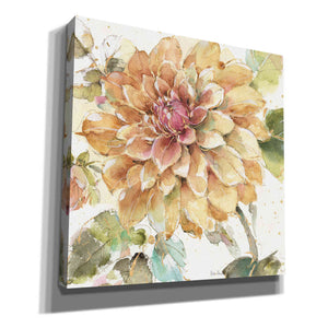 'Country Bloom V' by Lisa Audit, Canvas Wall Art