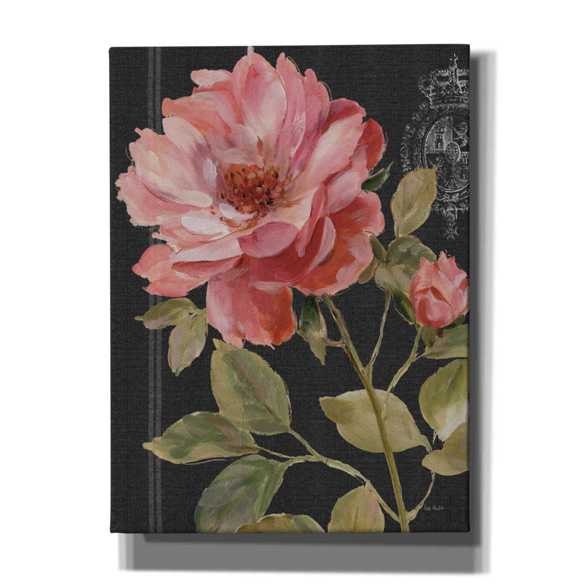 'Harmonious Rose Black' by Lisa Audit, Canvas Wall Art