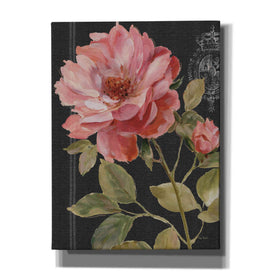 'Harmonious Rose Black' by Lisa Audit, Canvas Wall Art