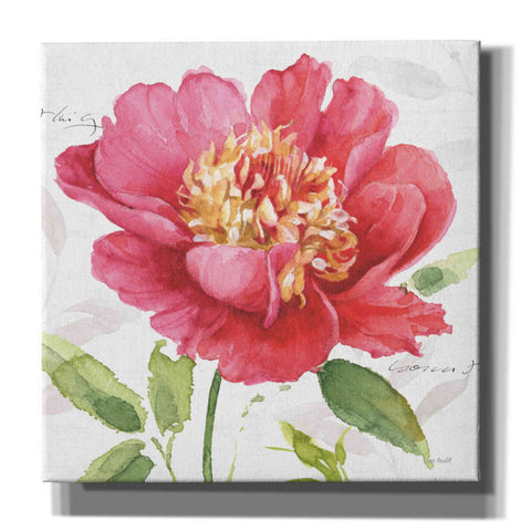 Image of 'Pink Garden II' by Lisa Audit, Canvas Wall Art