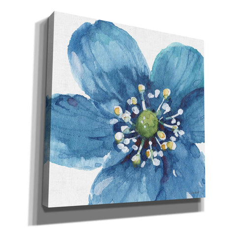 Image of 'Blue And Green Garden V' by Lisa Audit, Canvas Wall Art