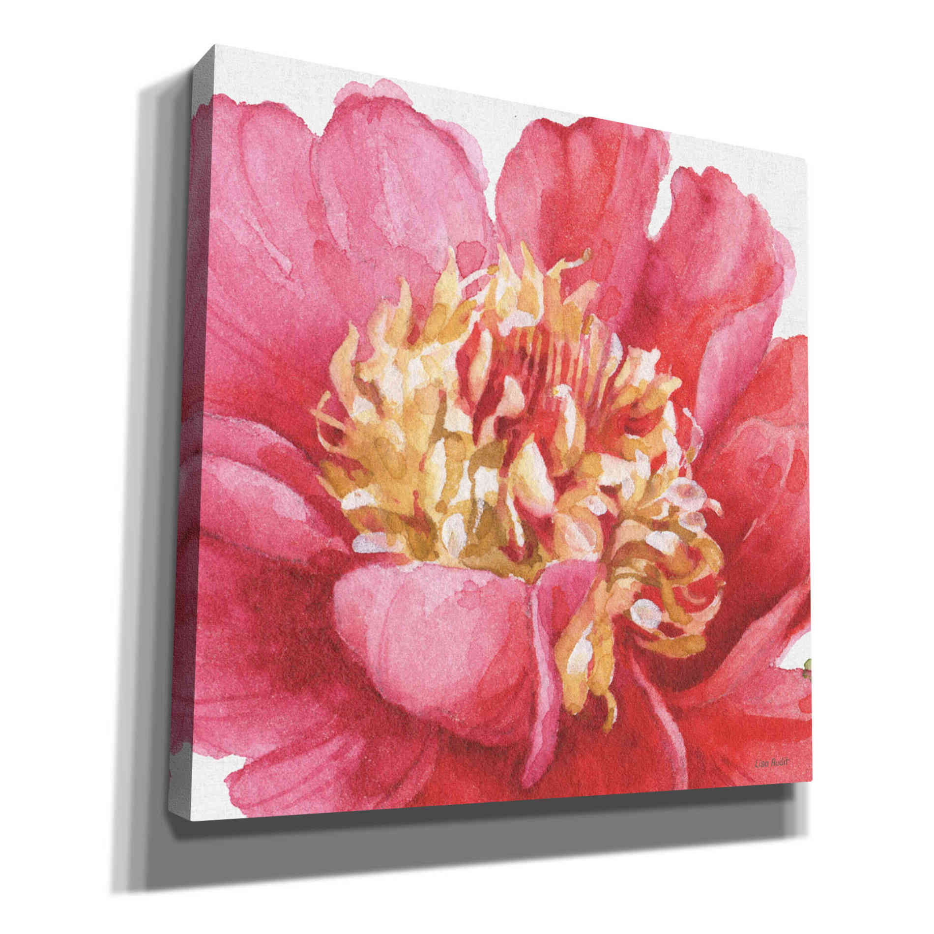 'Pink Garden V' by Lisa Audit, Canvas Wall Art