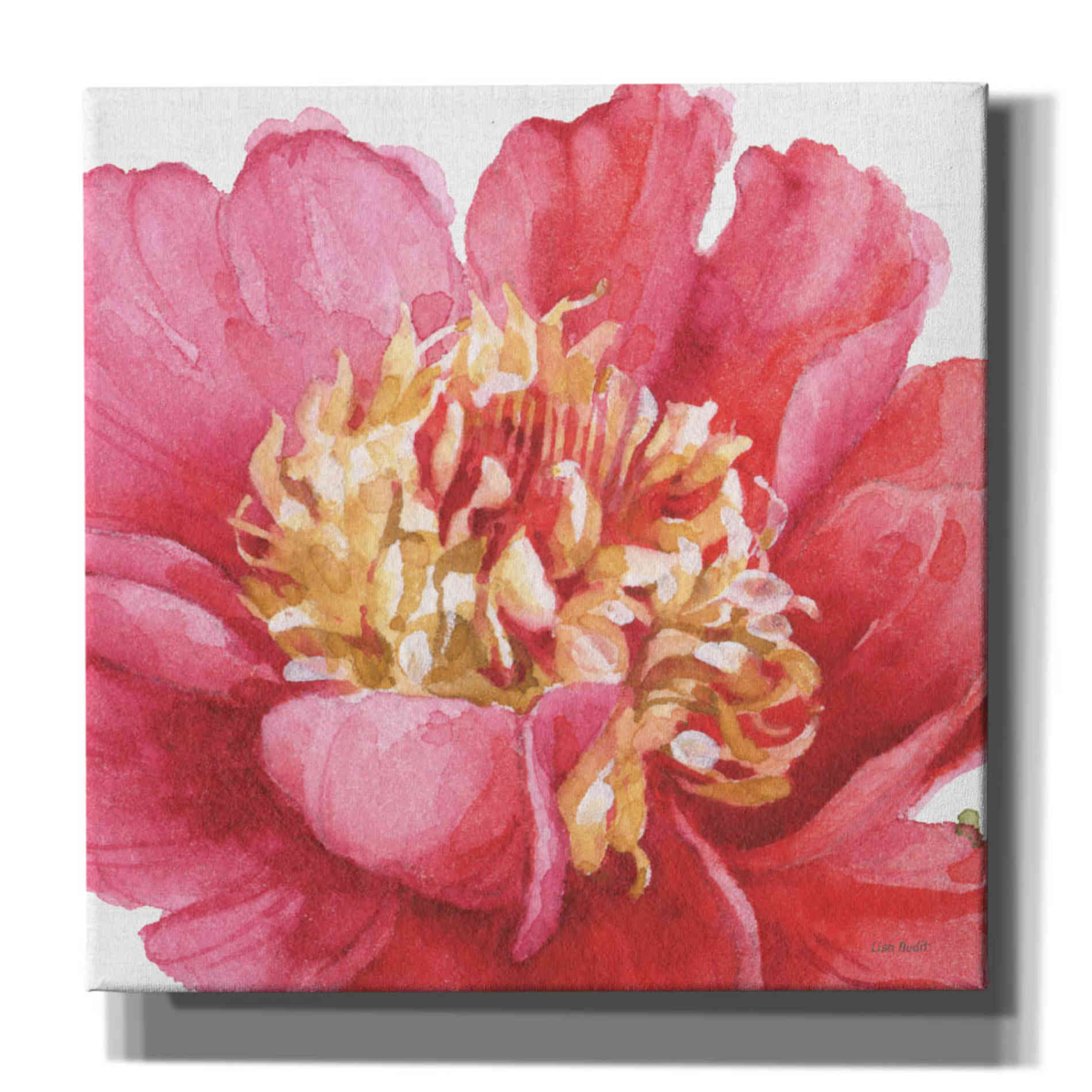 'Pink Garden V' by Lisa Audit, Canvas Wall Art