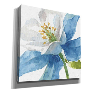 'Blue And Green Garden VI' by Lisa Audit, Canvas Wall Art