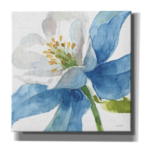 Image of 'Blue And Green Garden VI' by Lisa Audit, Canvas Wall Art