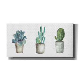 'Mixed Greens XLVIII' by Lisa Audit, Canvas Wall Art