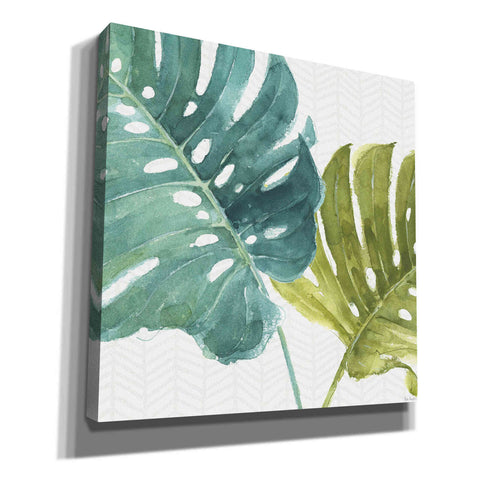'Mixed Greens LXXV' by Lisa Audit, Canvas Wall Art
