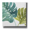 'Mixed Greens LXXV' by Lisa Audit, Canvas Wall Art