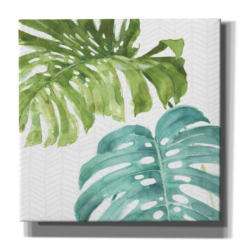 Image of 'Mixed Greens LXXVI' by Lisa Audit, Canvas Wall Art