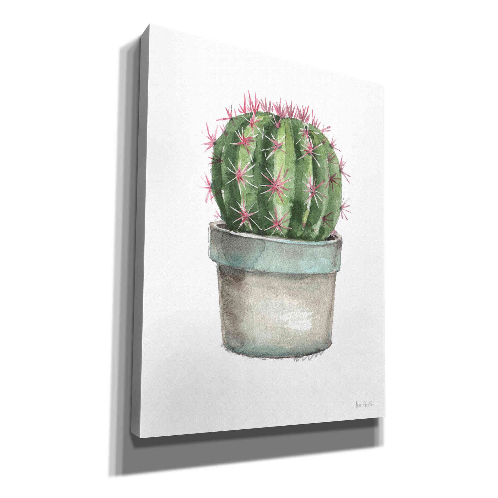 'Mixed Greens Succulent II' by Lisa Audit, Canvas Wall Art