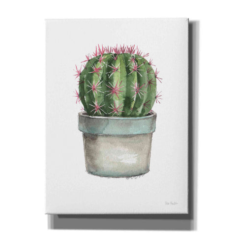 Image of 'Mixed Greens Succulent II' by Lisa Audit, Canvas Wall Art