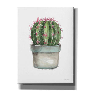 'Mixed Greens Succulent II' by Lisa Audit, Canvas Wall Art