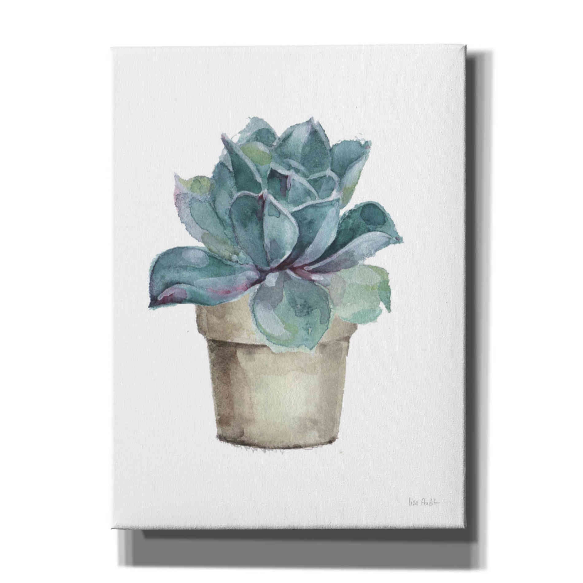 'Mixed Greens Succulent IV' by Lisa Audit, Canvas Wall Art