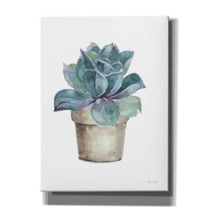 'Mixed Greens Succulent IV' by Lisa Audit, Canvas Wall Art