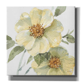 'Spring Meadow VII' by Lisa Audit, Canvas Wall Art