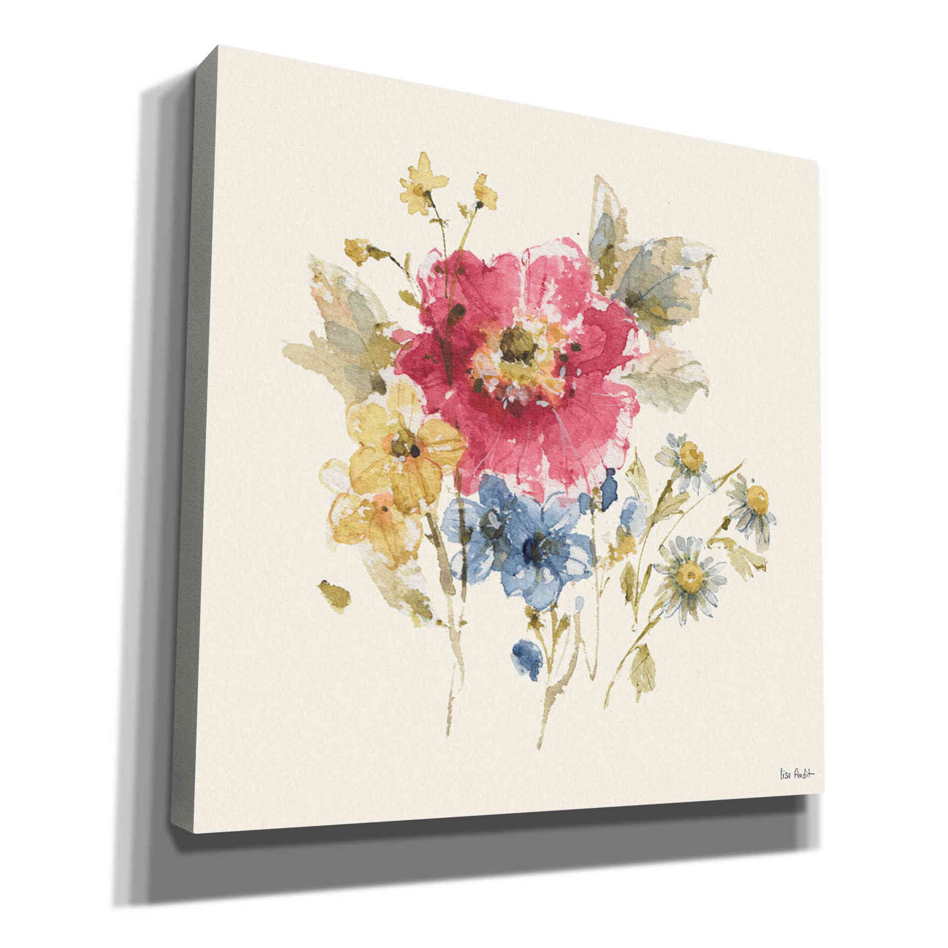 'Summer Garden V' by Lisa Audit, Canvas Wall Art