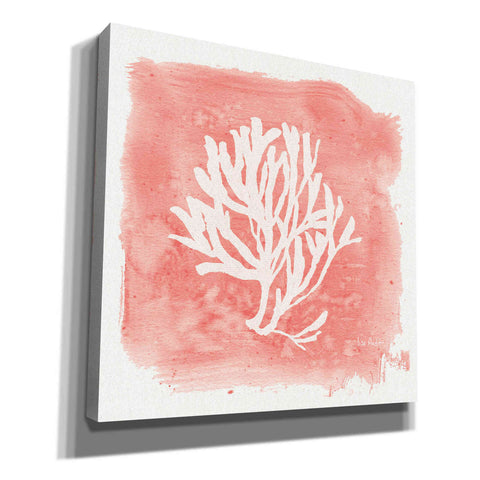 Image of 'Water Coral Cove III' by Lisa Audit, Canvas Wall Art